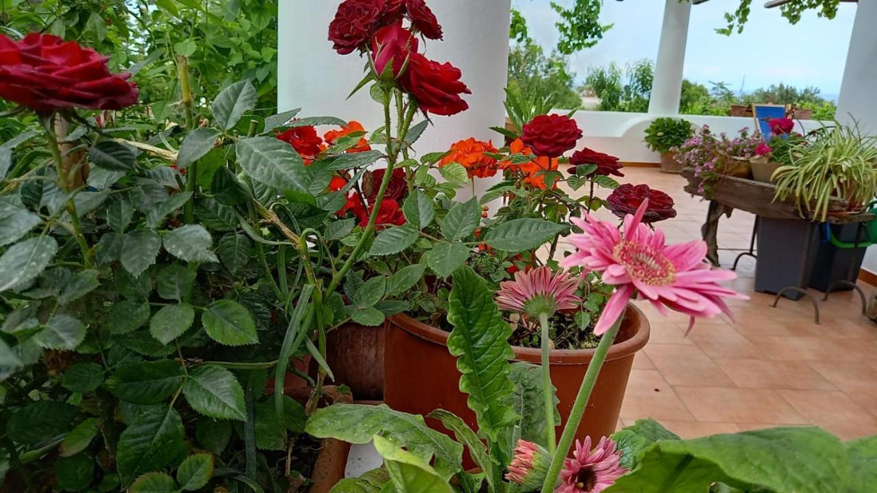 Agriturismo Solemare Stromboli Exterior foto